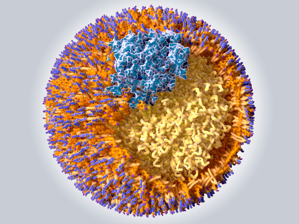 CVD residual risk