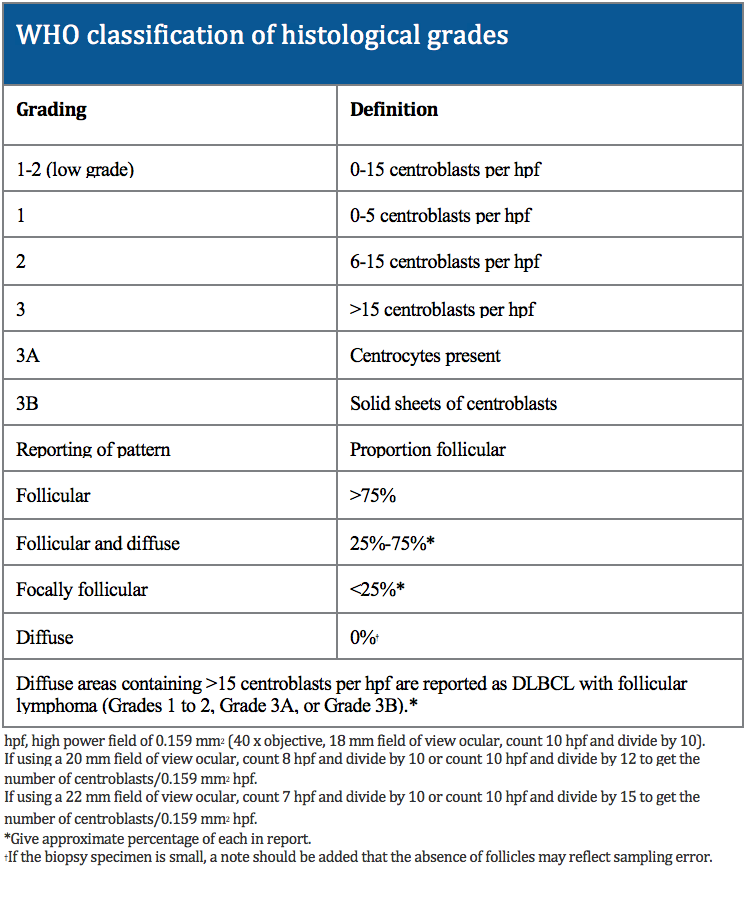 WHO classification histological grades