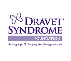 DSF-logo