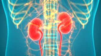 New partnership to offer digital kidney disease education for clinicians, patients, and providers
